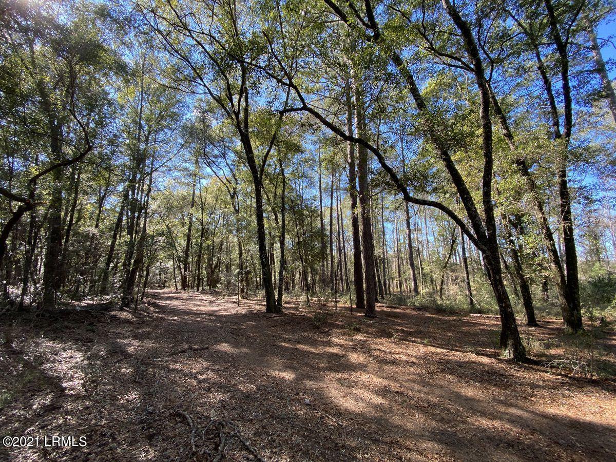 4200 Sand Hills Road Garnett, SC 29922 - Photo 21 of 50 21
