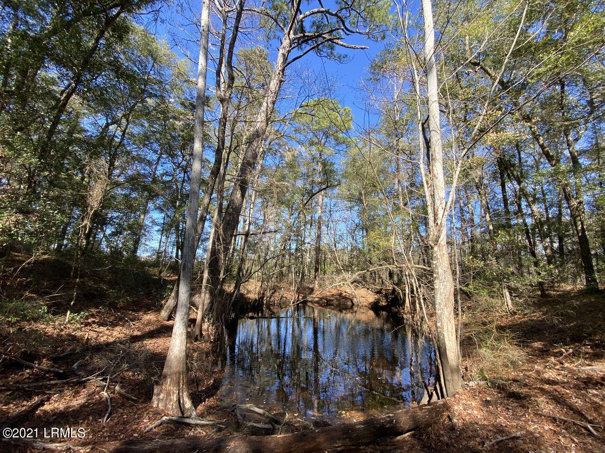 4200 Sand Hills Road Garnett, SC 29922 - Photo 22 of 50 22