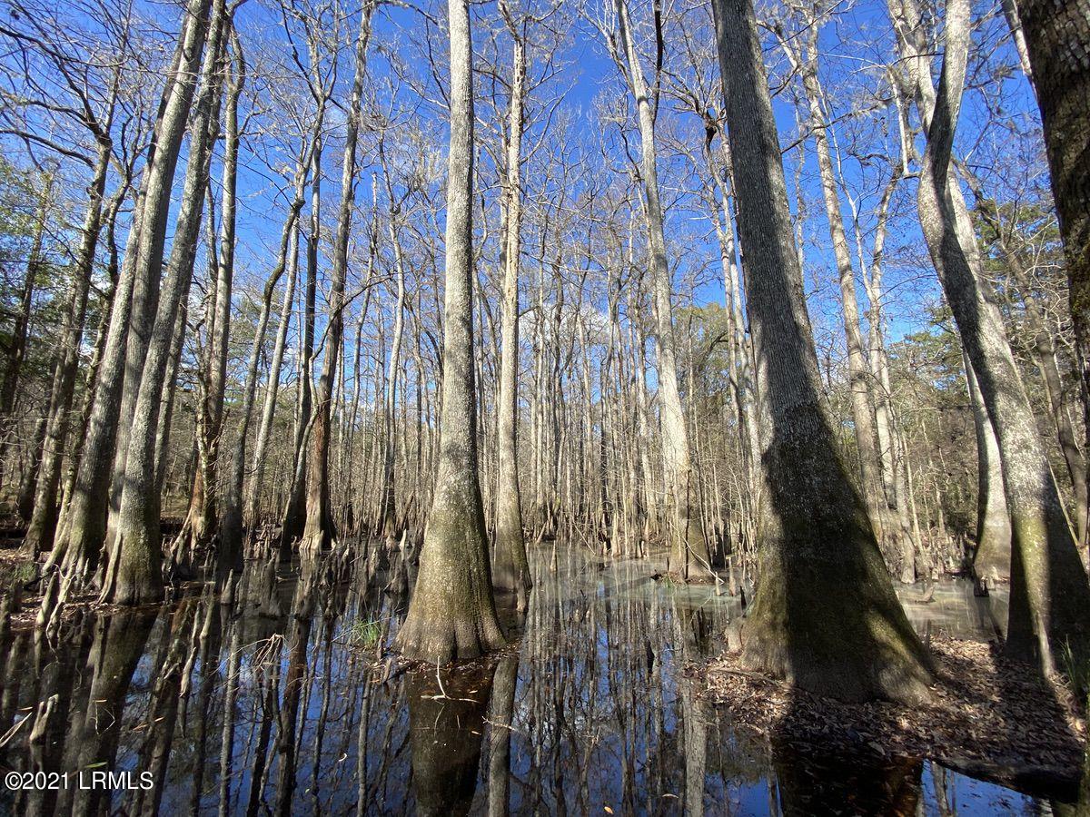 4200 Sand Hills Road Garnett, SC 29922 - Photo 30 of 50 30