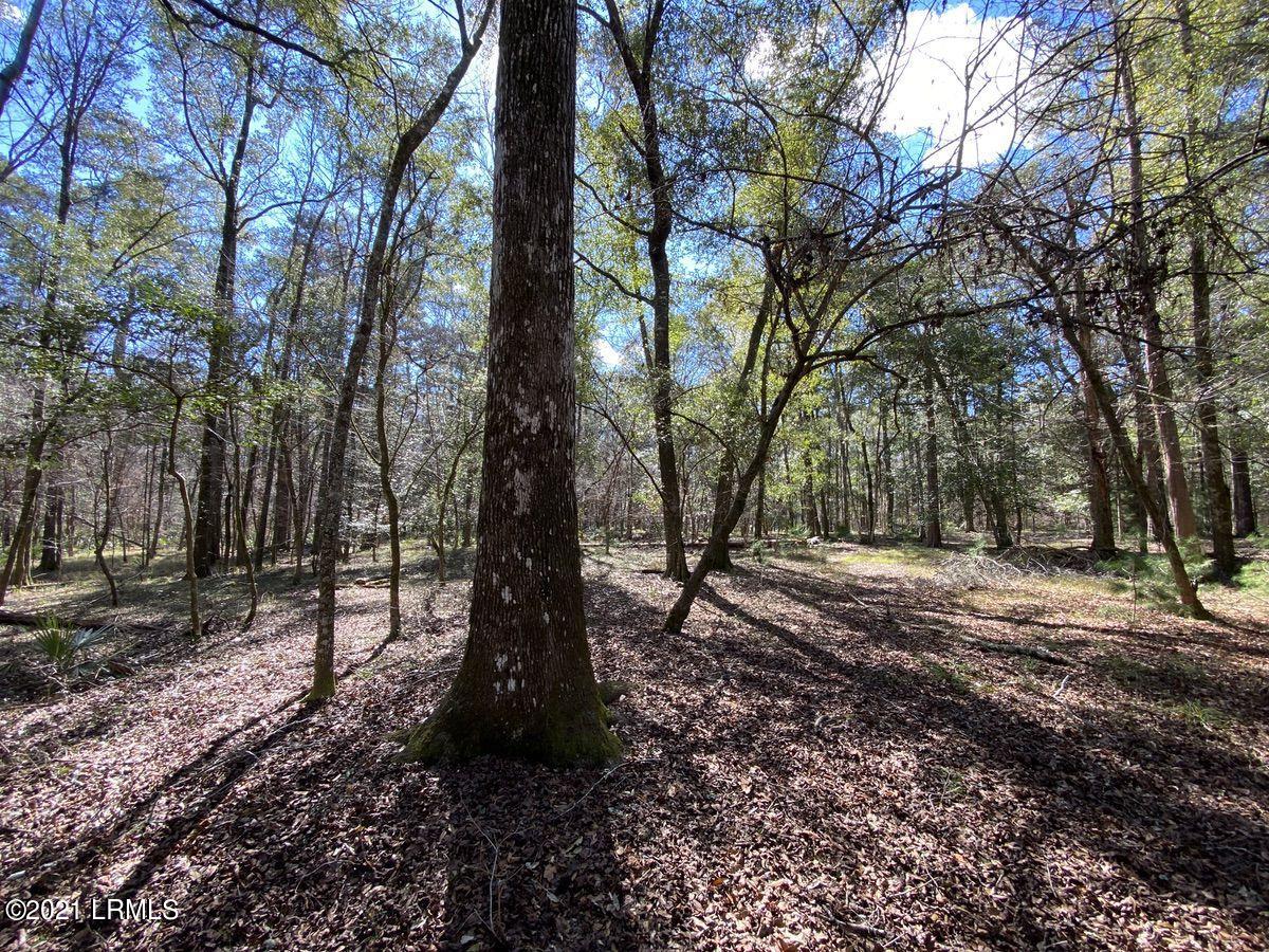 4200 Sand Hills Road Garnett, SC 29922 - Photo 36 of 50 36