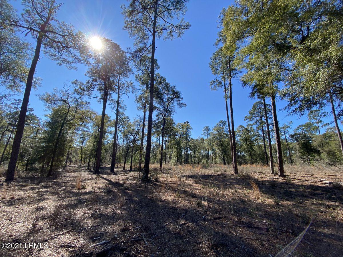 4200 Sand Hills Road Garnett, SC 29922 - Photo 46 of 50 46