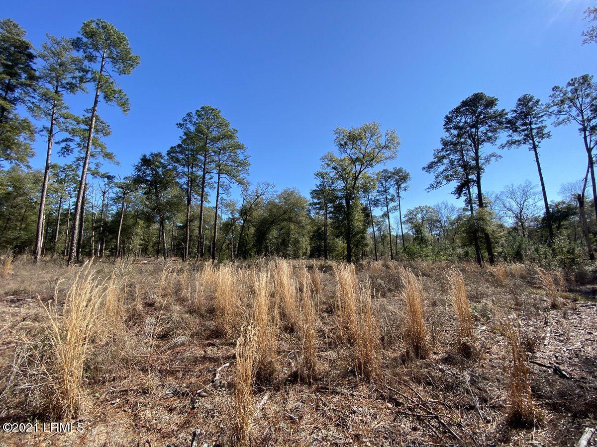 4200 Sand Hills Road Garnett, SC 29922 - Photo 47 of 50 47