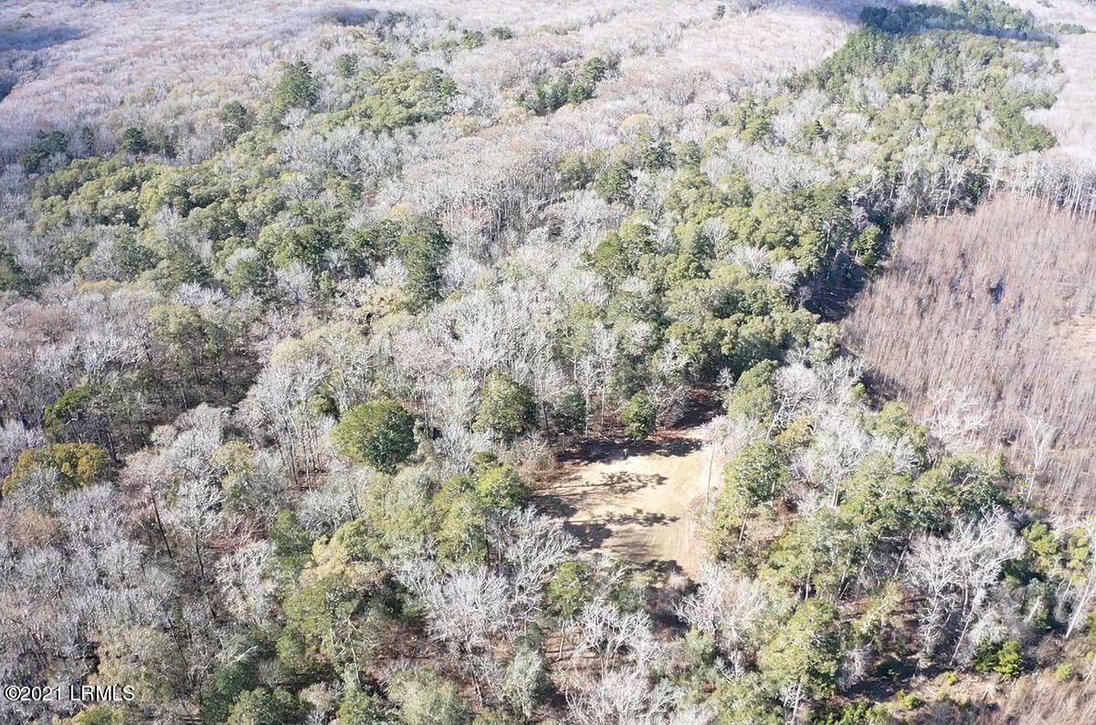 4200 Sand Hills Road Garnett, SC 29922 - Photo 8 of 50 08