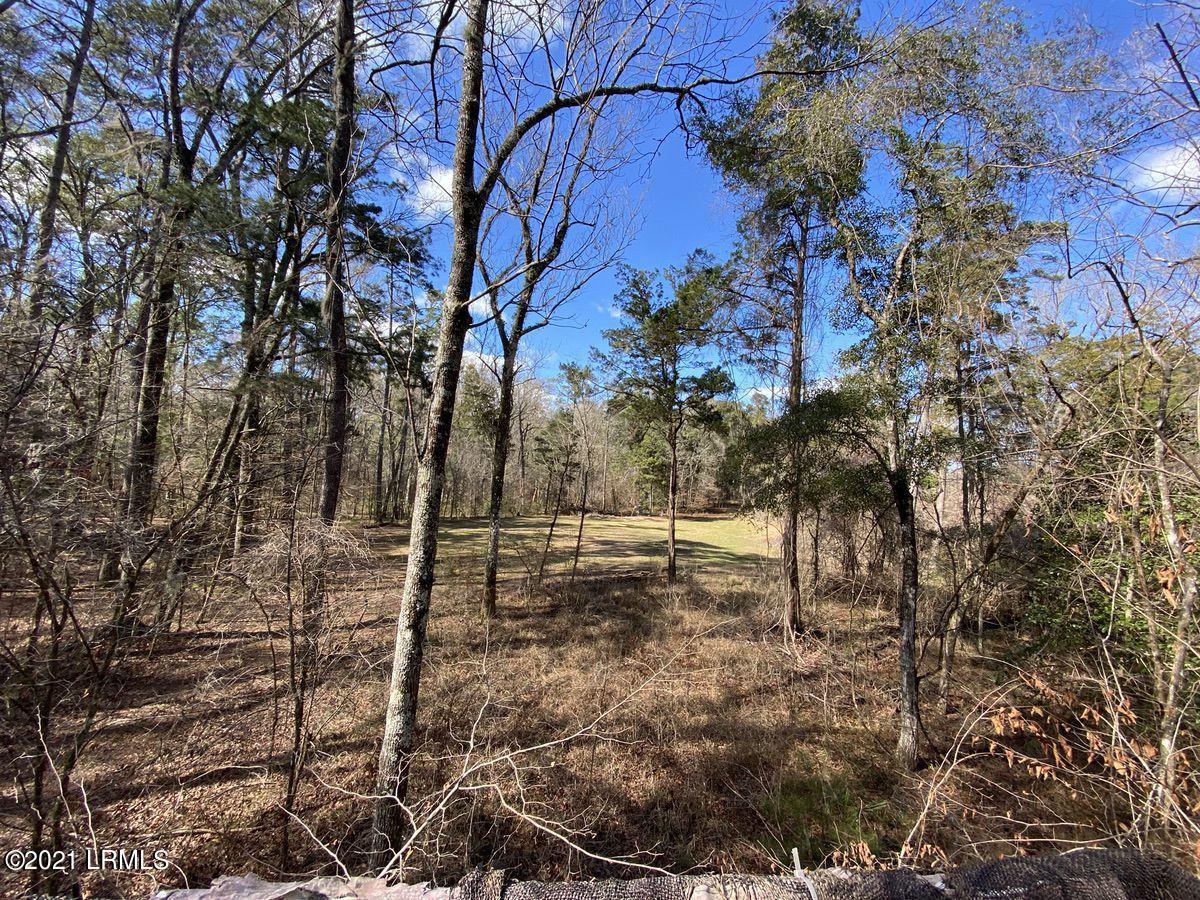 4200 Sand Hills Road Garnett, SC 29922 - Photo 10 of 50 10