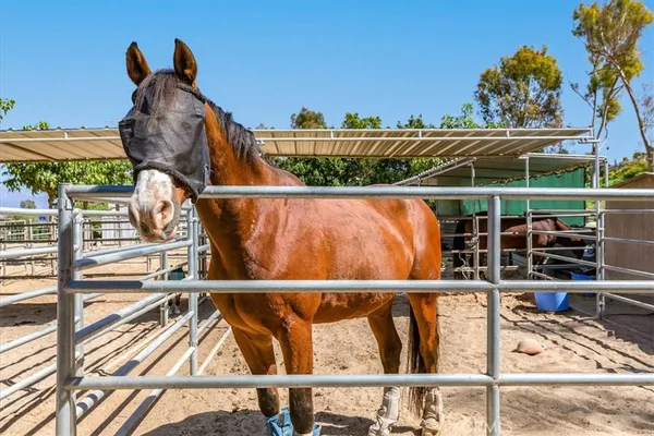 $2,600 | 3338 Punta Alta, Unit 3C, Laguna Woods, CA 92637