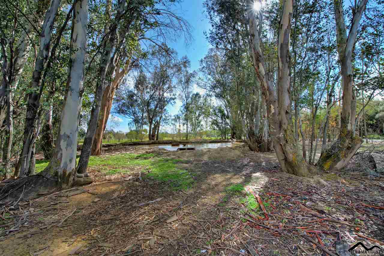 5460 Toomes Avenue Corning, CA 96021 - Photo 65 of 73