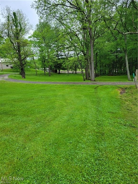 6982 Canal Road Northeast Dover, OH 44622 - Photo 6 of 29 Gallery Image 6