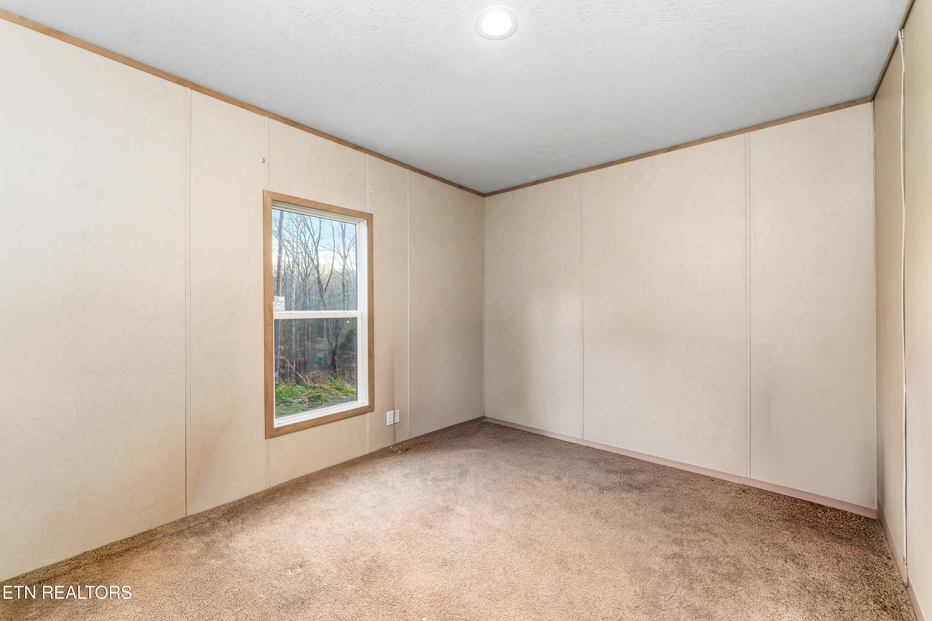 335 South Rogers Road Seymour, TN 37865 - Photo 19 of 27 _DSC0530-Edit-Edit