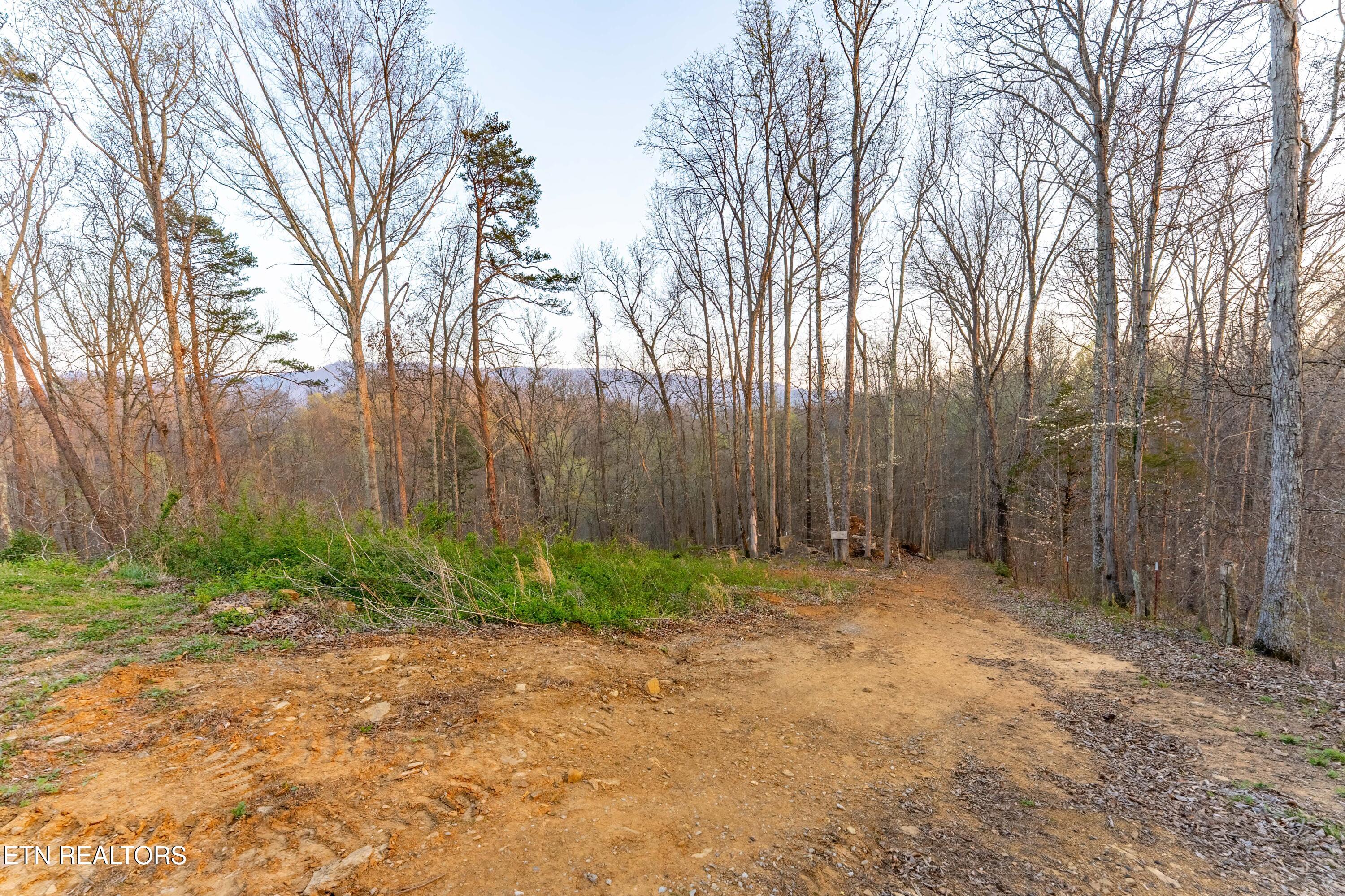 335 South Rogers Road Seymour, TN 37865 - Photo 23 of 27 _DSC0558-HDR-Edit-Edit
