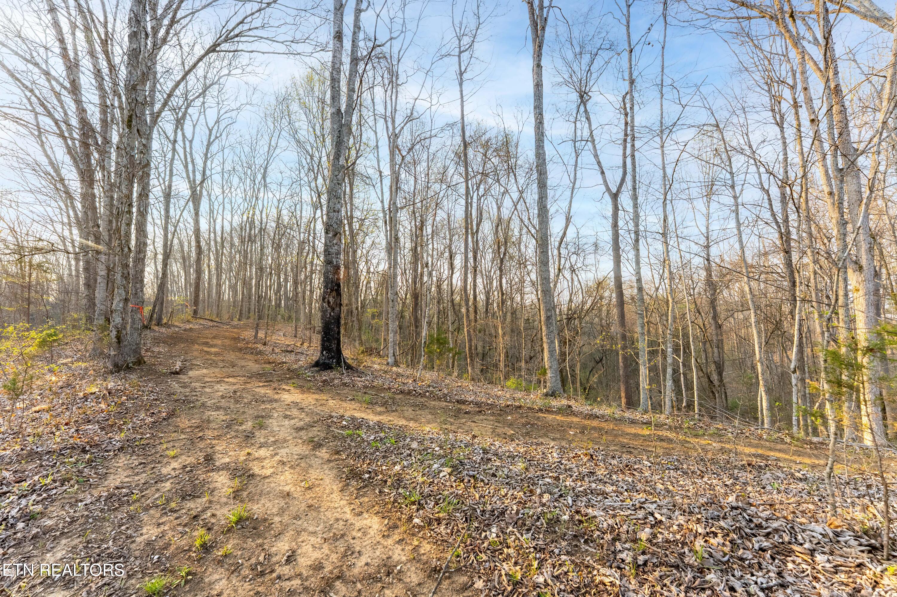 335 South Rogers Road Seymour, TN 37865 - Photo 24 of 27 _DSC0448-HDR-Edit-Edit