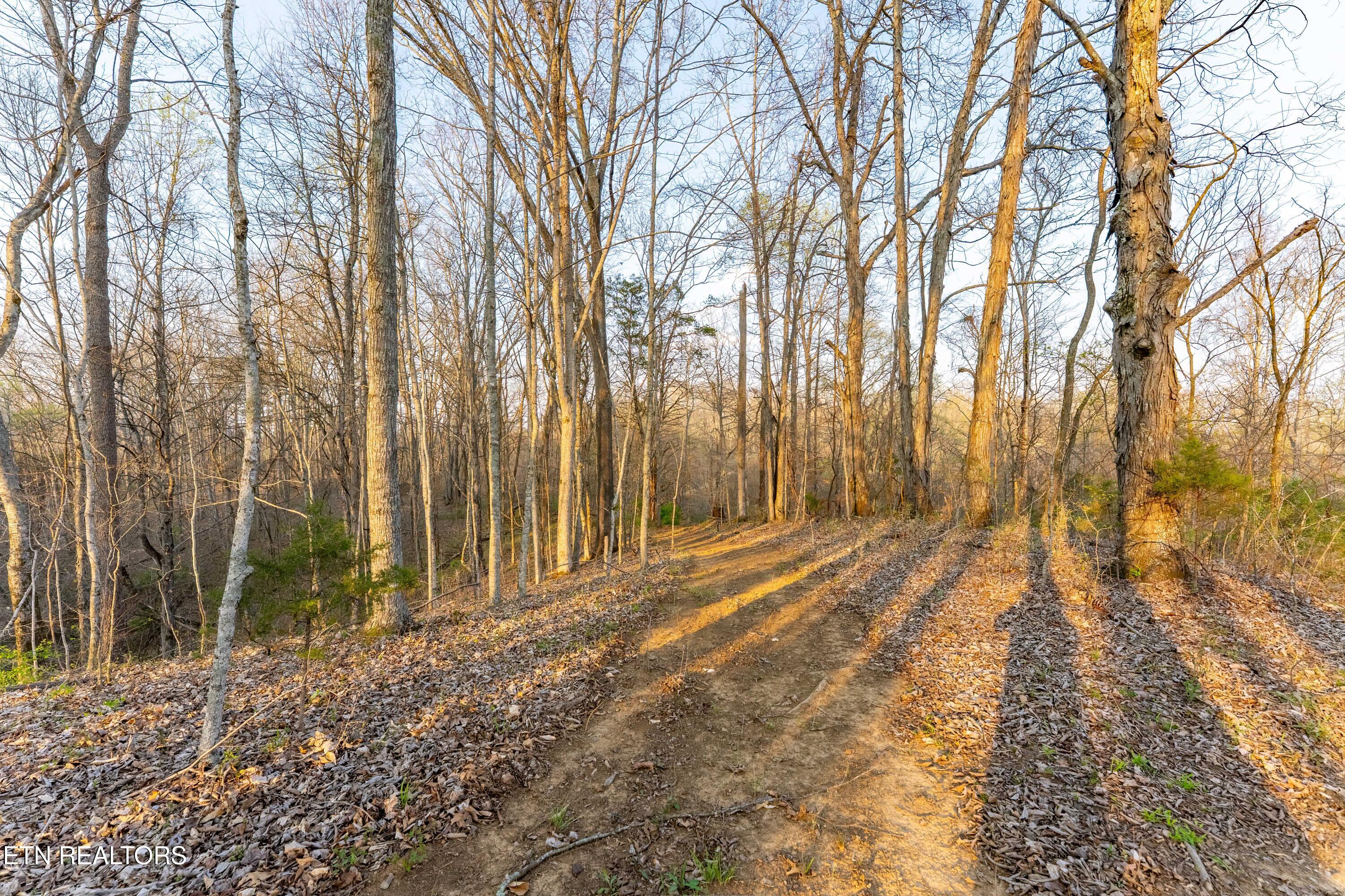 335 South Rogers Road Seymour, TN 37865 - Photo 26 of 27 _DSC0451-HDR-Edit