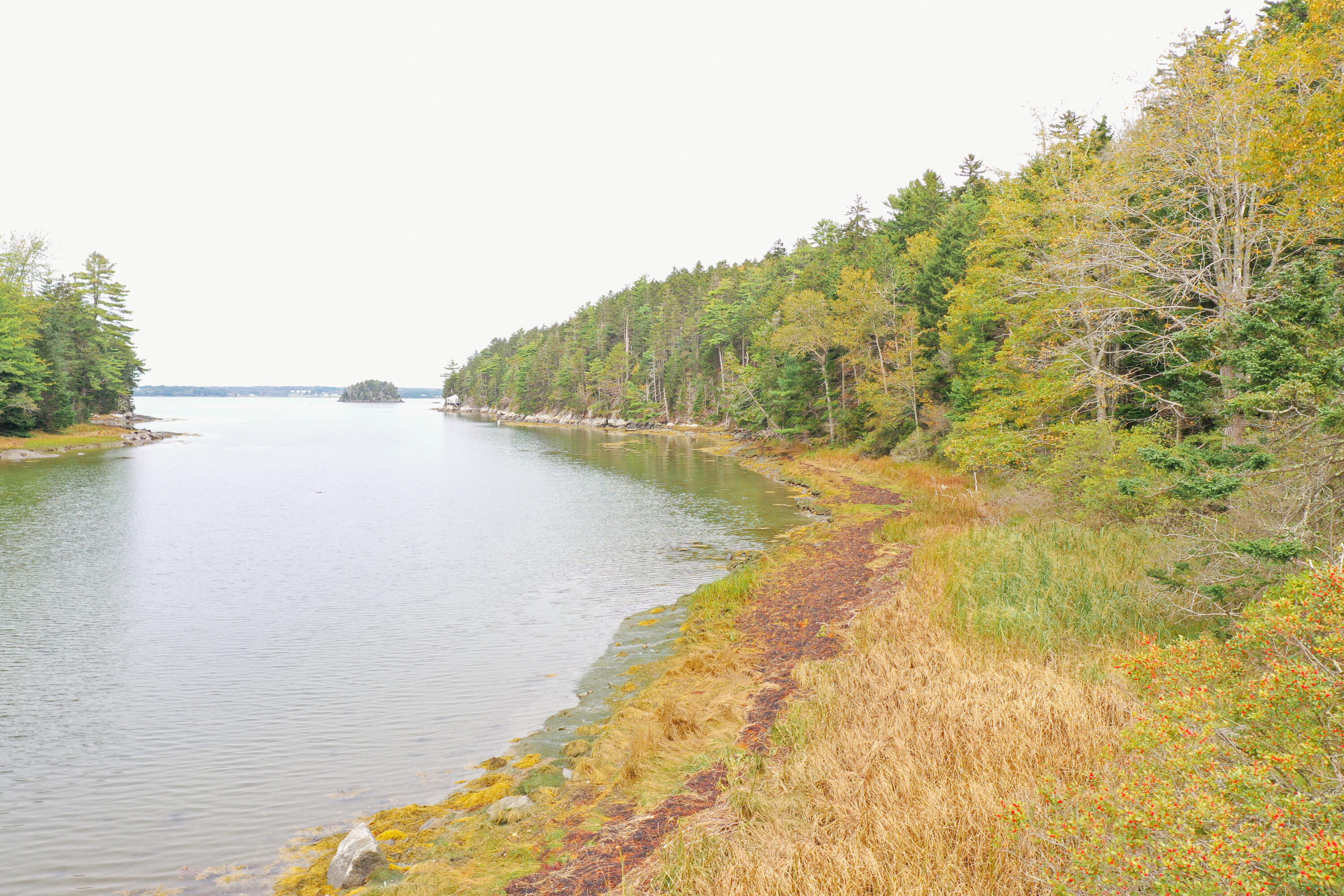 4 Turkey Cove Road Tenants Harbor, ME 04860 - Photo 4 of 15 Turkey Cove Road Land