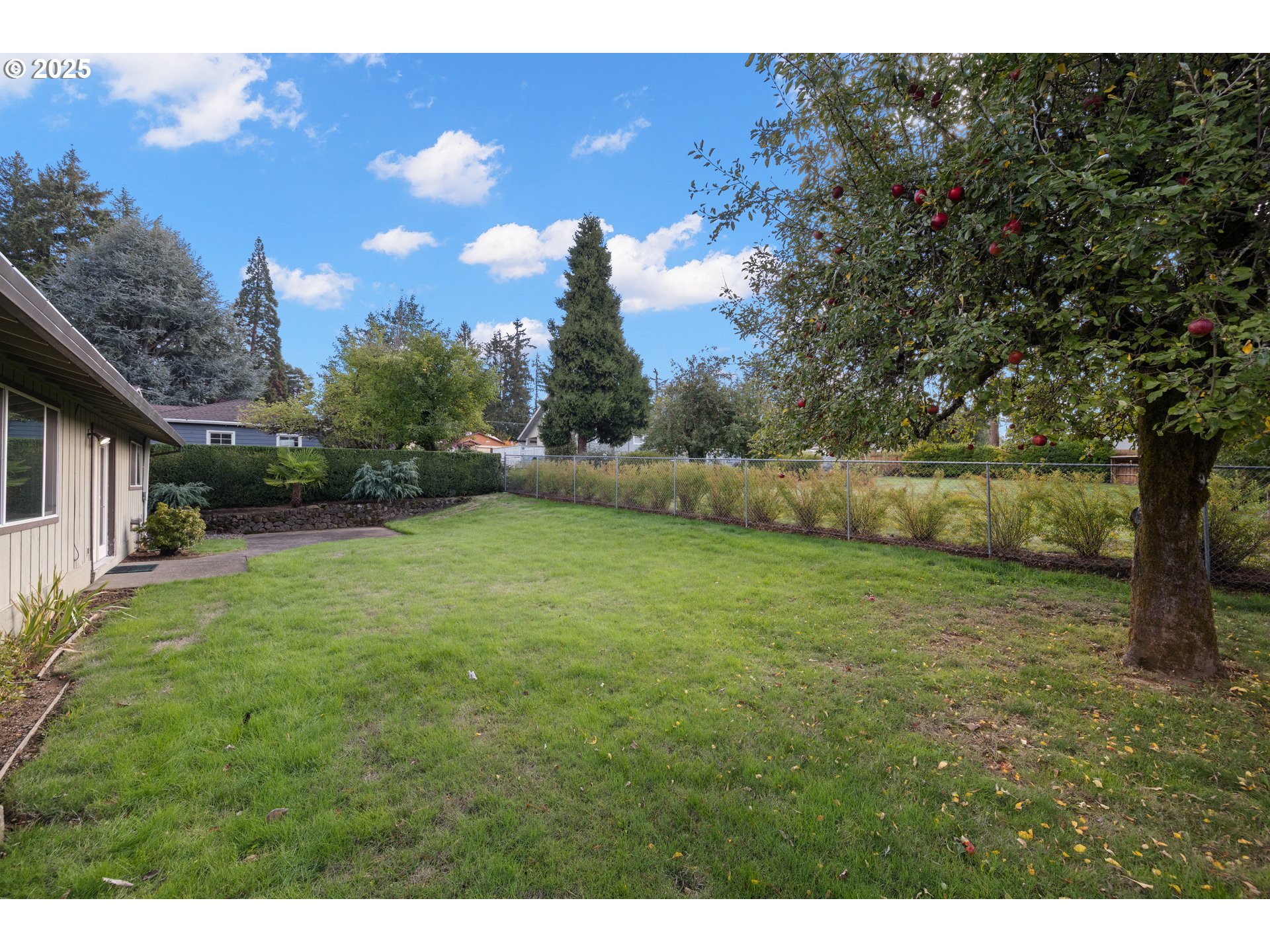3396 Southeast Loeffelman Road Milwaukie, OR 97222 - Photo 32 of 41 a view of a yard with an tree