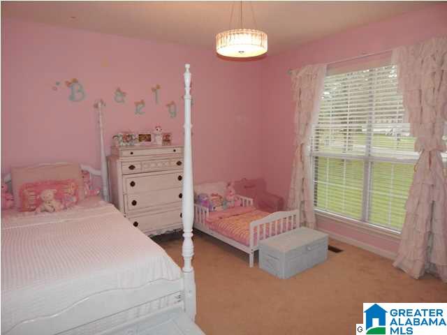 6010 Tommy Town Road Mount Olive, AL 35117 - Photo 22 of 27