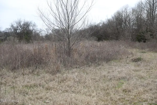 $250,000 | West Academy Street, Canton, MS 39046