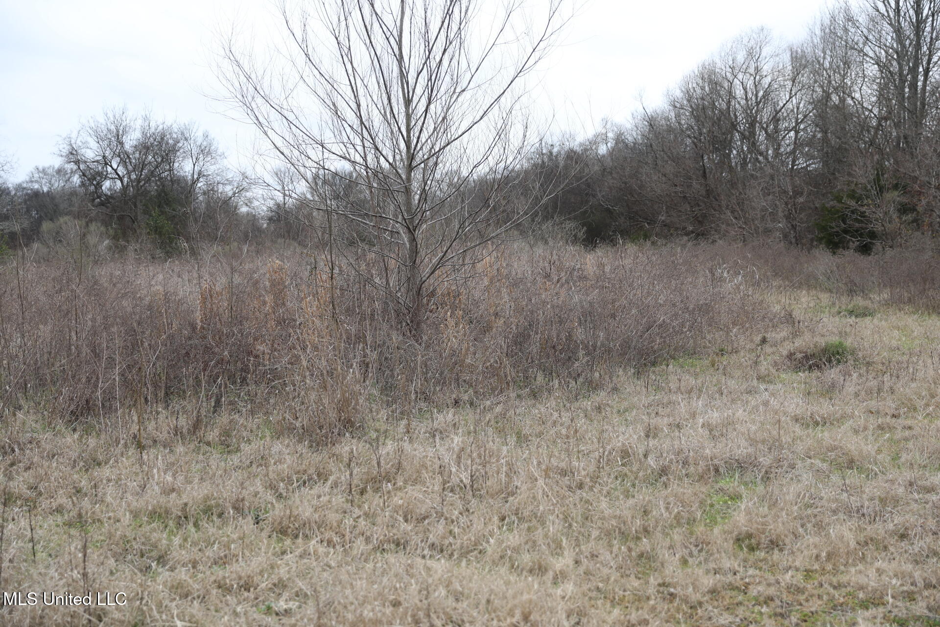 West Academy Street Canton, MS 39046 - Photo 8 of 11 367A5829