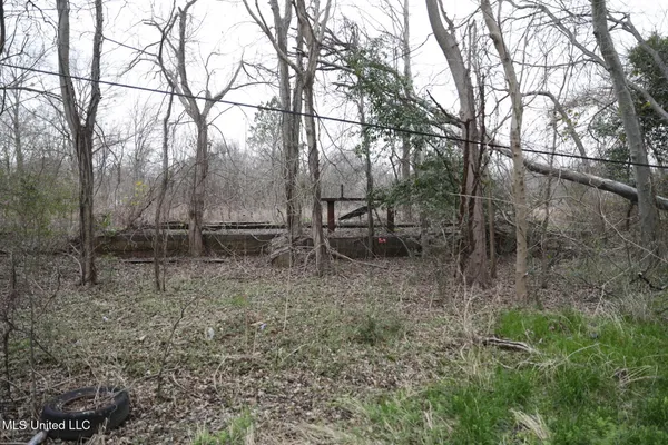 $250,000 | West Academy Street, Canton, MS 39046