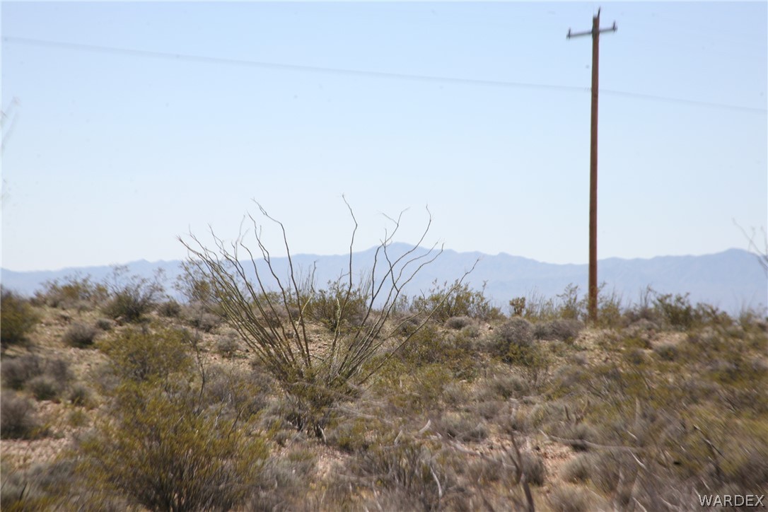 208-24-134 Cameron Road Yucca, AZ 86438 - Photo 61 of 86
