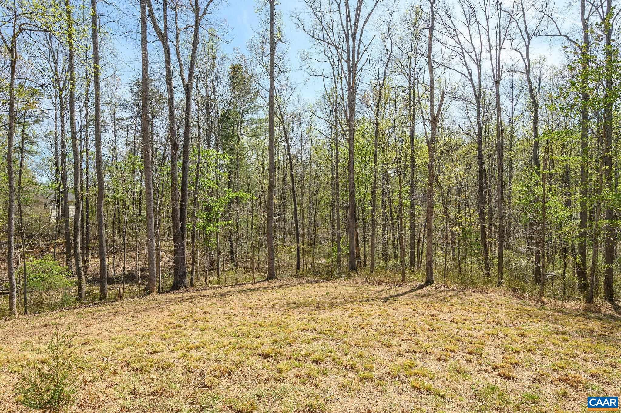 266 Swift Run Road Ruckersville, VA 22968 - Photo 19 of 35 Gallery Image 19