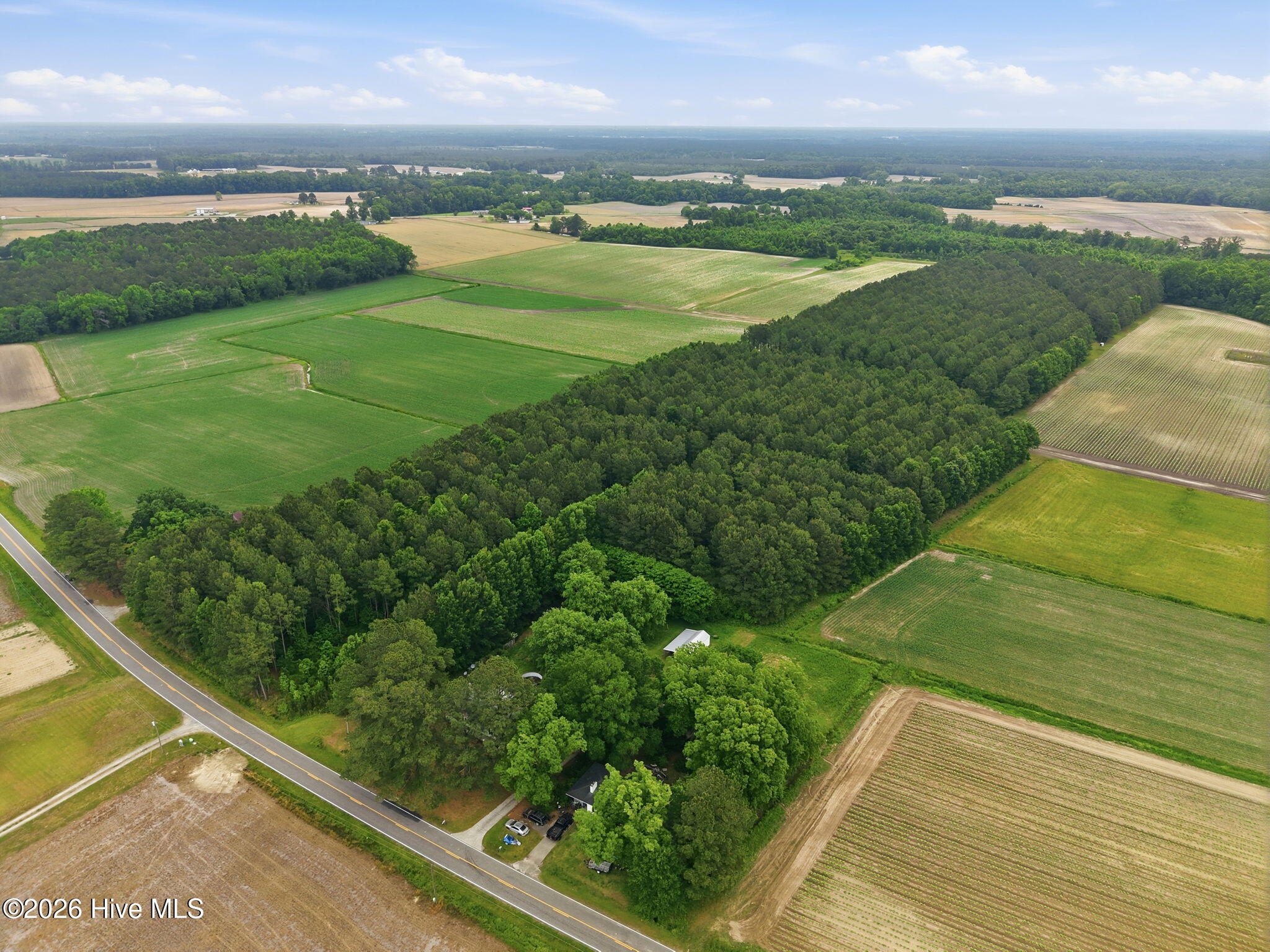 0 Fire Tower Road Walstonburg, NC 27888 - Photo 4 of 10 4-web-or-mls-DJI_20260511115034_0014_D