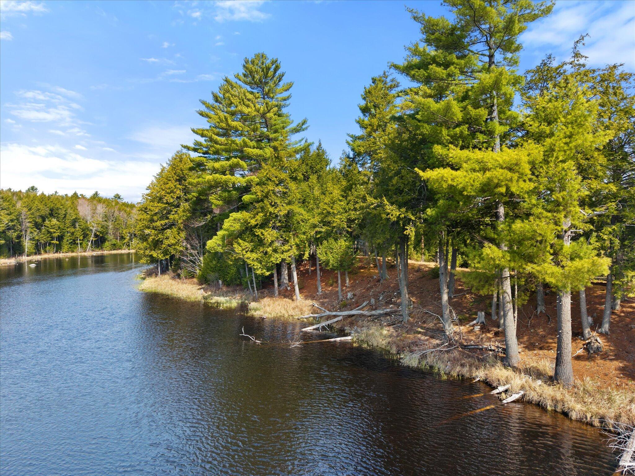 154 Woodman Mill Road Lowell, ME 04493 - Photo 42 of 59 09-162 Woodman Mill Rd