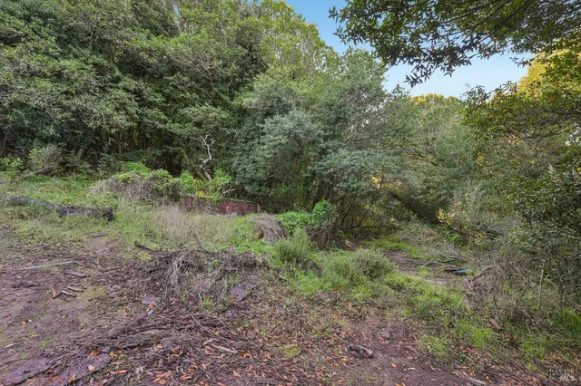 $589,000 | 95 Highland Way, Inverness, CA 94937