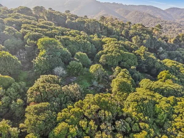 $525,000 | 95 Highland Way, Inverness, CA 94937