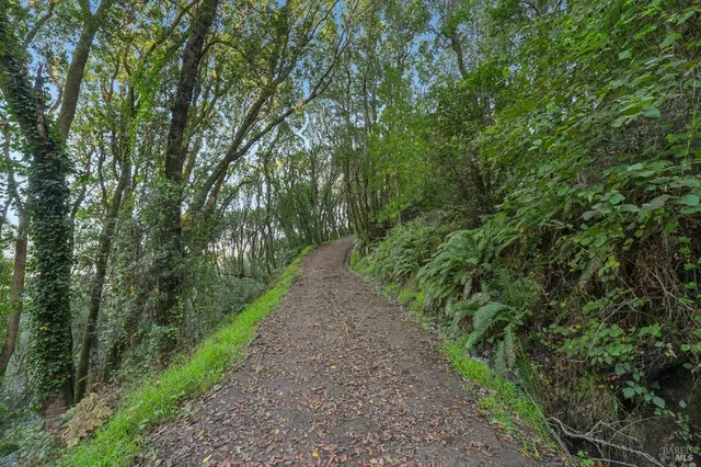 $589,000 | 95 Highland Way, Inverness, CA 94937