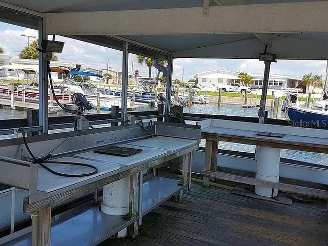 a view of a park with large trees