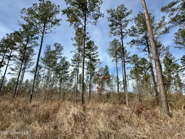 $340,000 | 4 Dry Grove Road, Terry, MS 39170