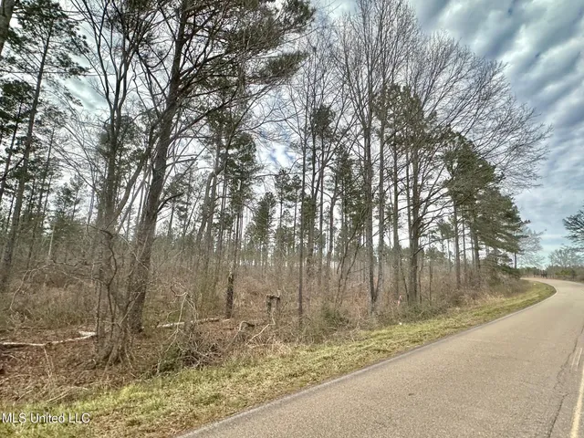 $340,000 | 4 Dry Grove Road, Terry, MS 39170
