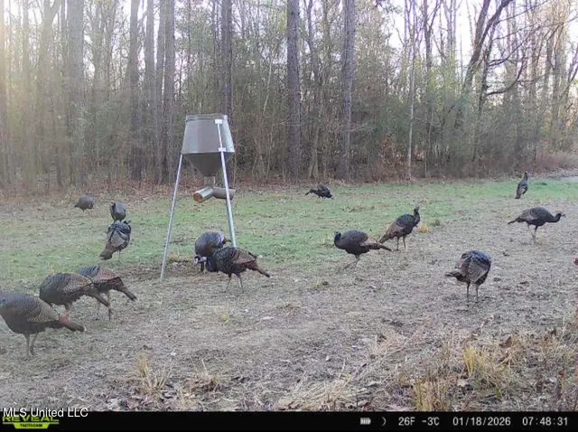 $340,000 | 4 Dry Grove Road, Terry, MS 39170