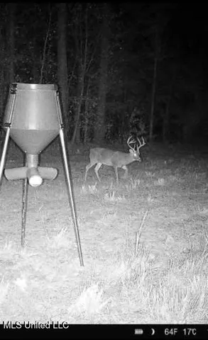 $340,000 | 4 Dry Grove Road, Terry, MS 39170