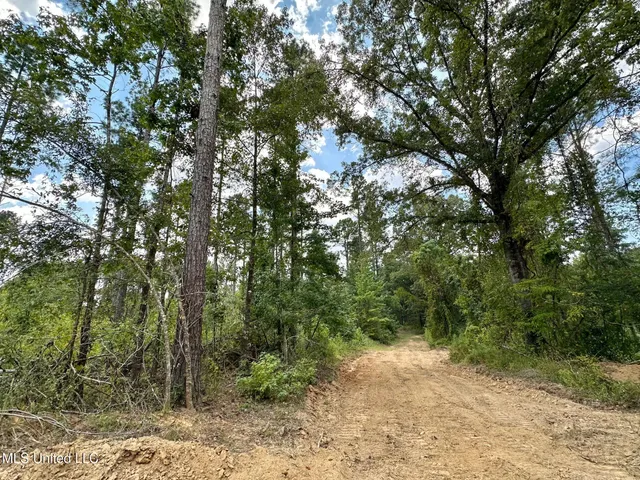 $350,000 | 4 Dry Grove Road, Terry, MS 39170