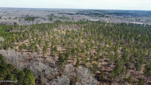 $340,000 | 4 Dry Grove Road, Terry, MS 39170