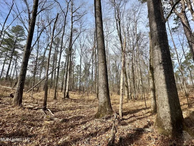 $340,000 | 4 Dry Grove Road, Terry, MS 39170