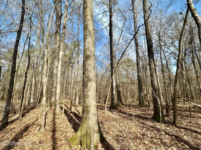 $340,000 | 4 Dry Grove Road, Terry, MS 39170