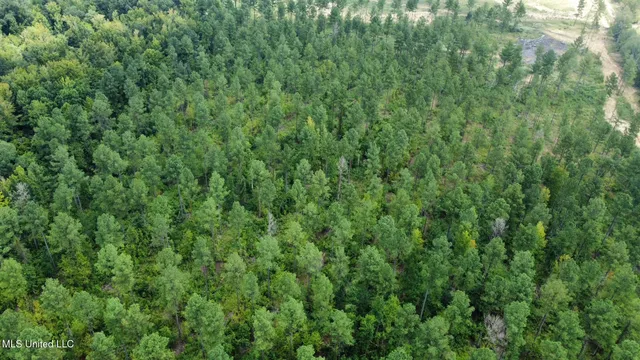 $350,000 | 4 Dry Grove Road, Terry, MS 39170