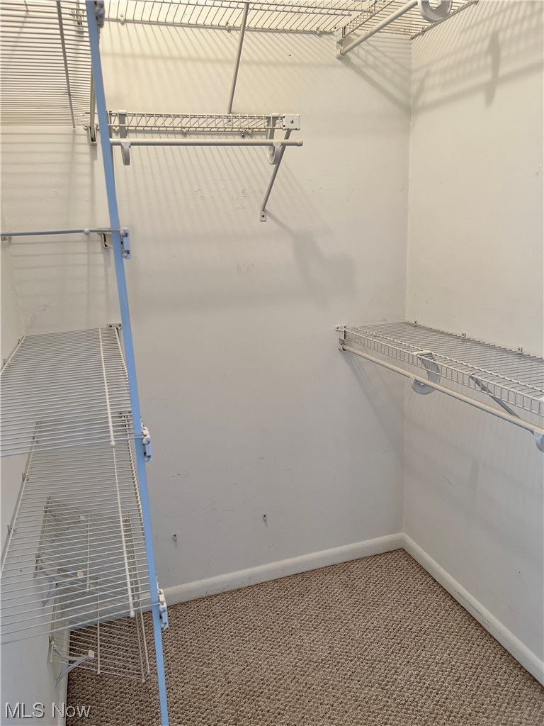 7825 Chillicothe Road Mentor, OH 44060 - Photo 24 of 30 walk-in closet additional living area
