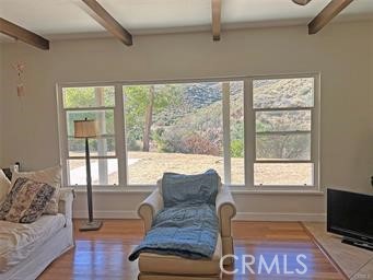 42930 Lake Hughes Road Lake Hughes, CA 93532 - Photo 12 of 54 a living room with furniture and a flat screen tv