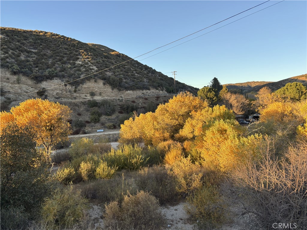 42930 Lake Hughes Road Lake Hughes, CA 93532 - Photo 44 of 54