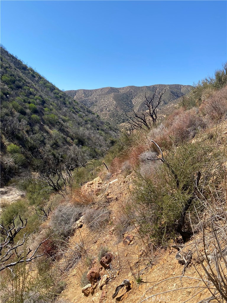 42930 Lake Hughes Road Lake Hughes, CA 93532 - Photo 48 of 54 a view of mountain view with mountains