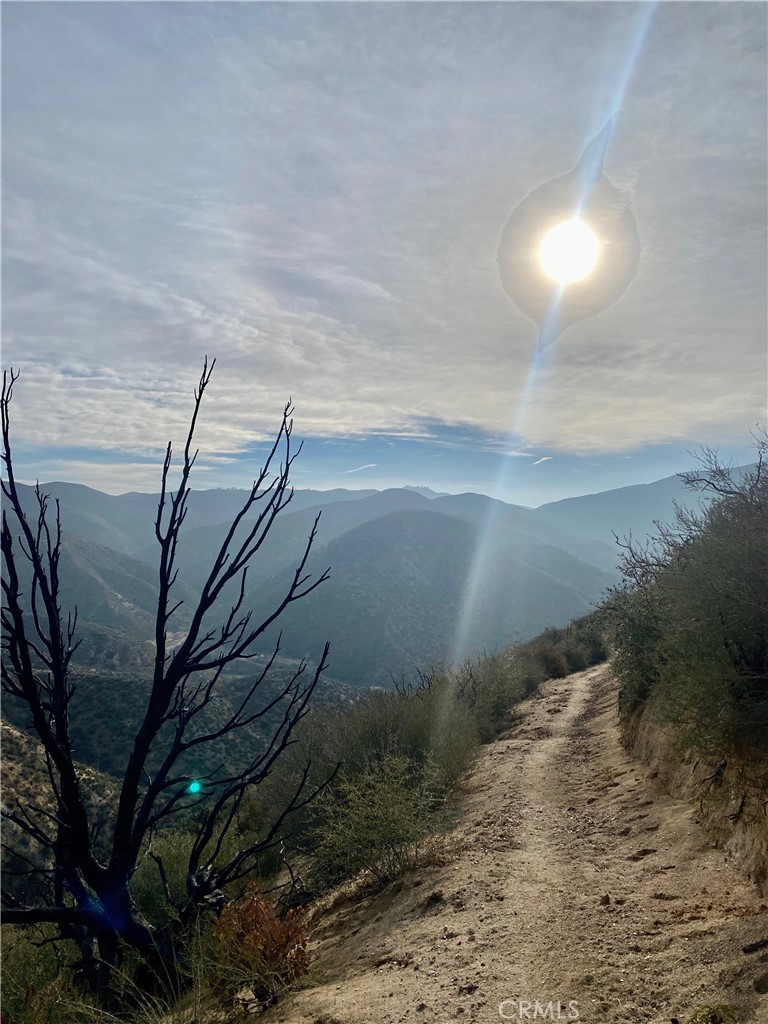 42930 Lake Hughes Road Lake Hughes, CA 93532 - Photo 50 of 54 a view of roof and tree