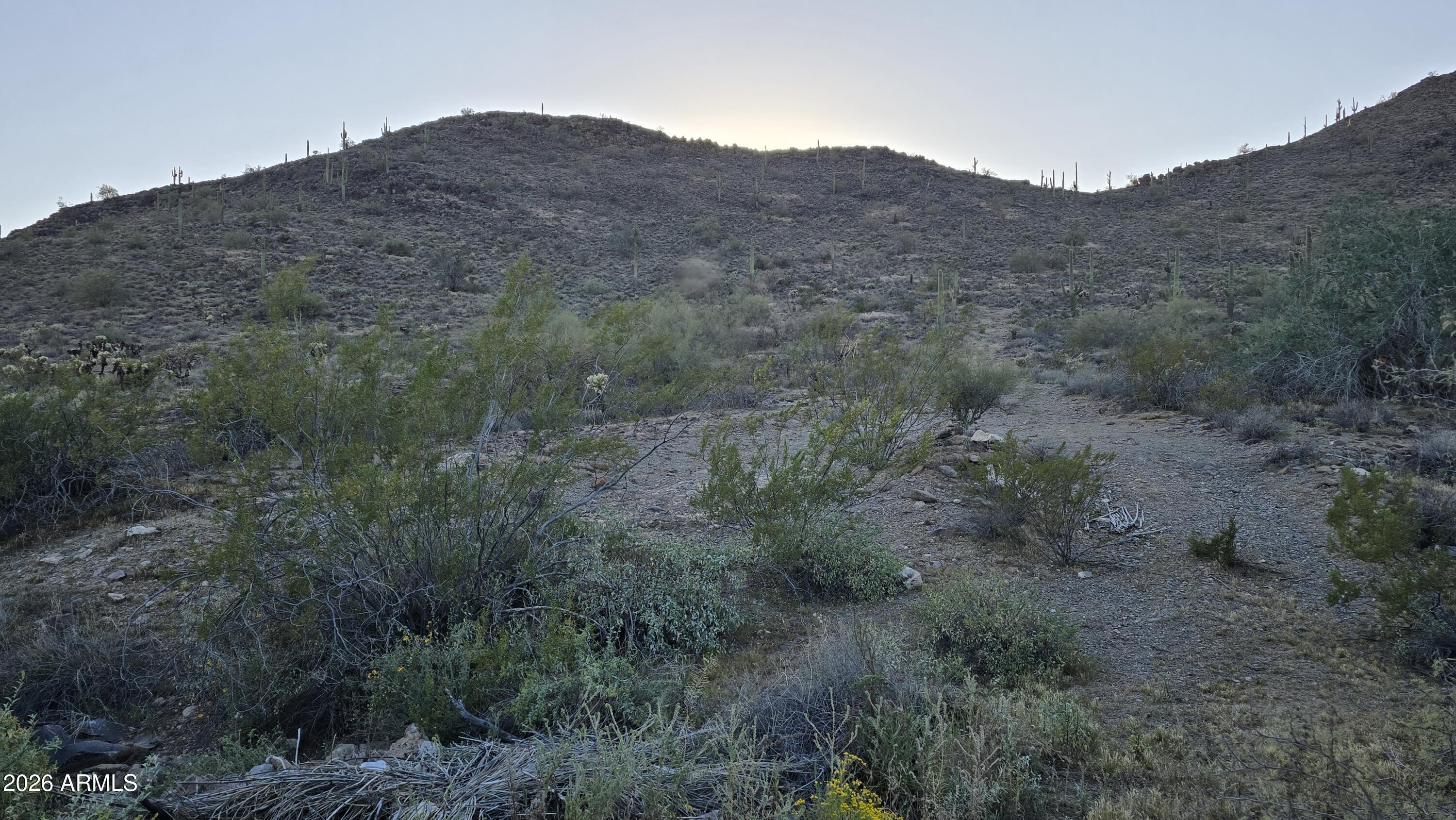 31275 West Cloud Road Wittmann, AZ 85361 - Photo 18 of 31 a view of a dry field