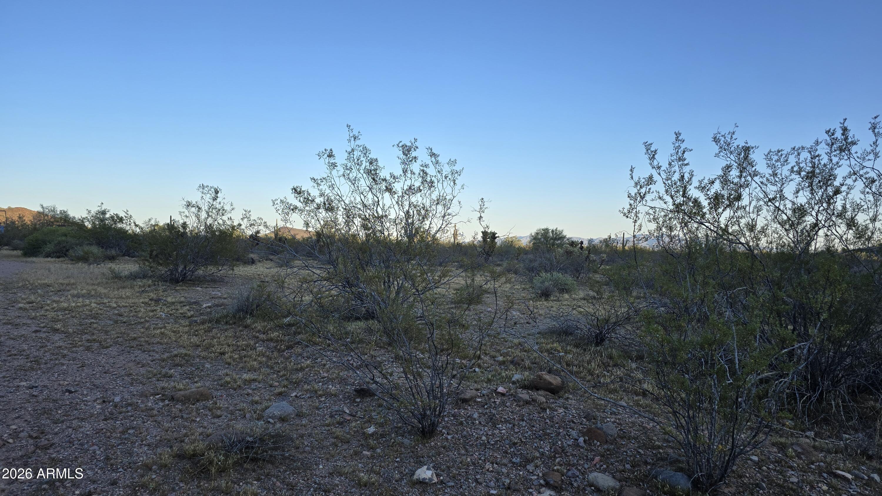 31275 West Cloud Road Wittmann, AZ 85361 - Photo 19 of 31 a view of a forest with a tree in the background