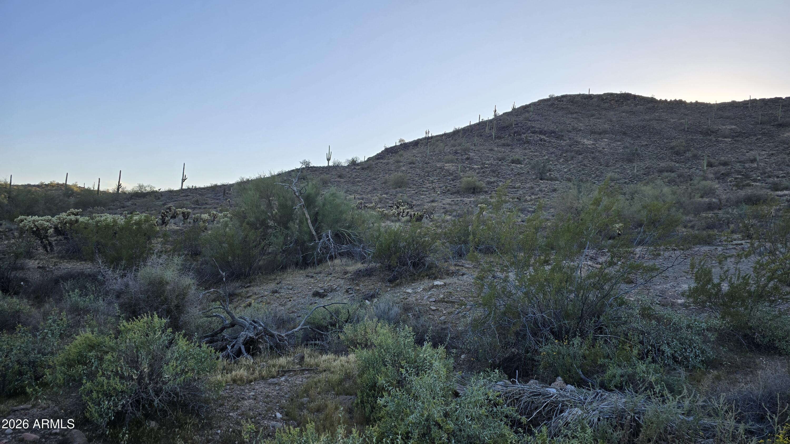 31275 West Cloud Road Wittmann, AZ 85361 - Photo 21 of 31 a view of a mountain range with trees in the background