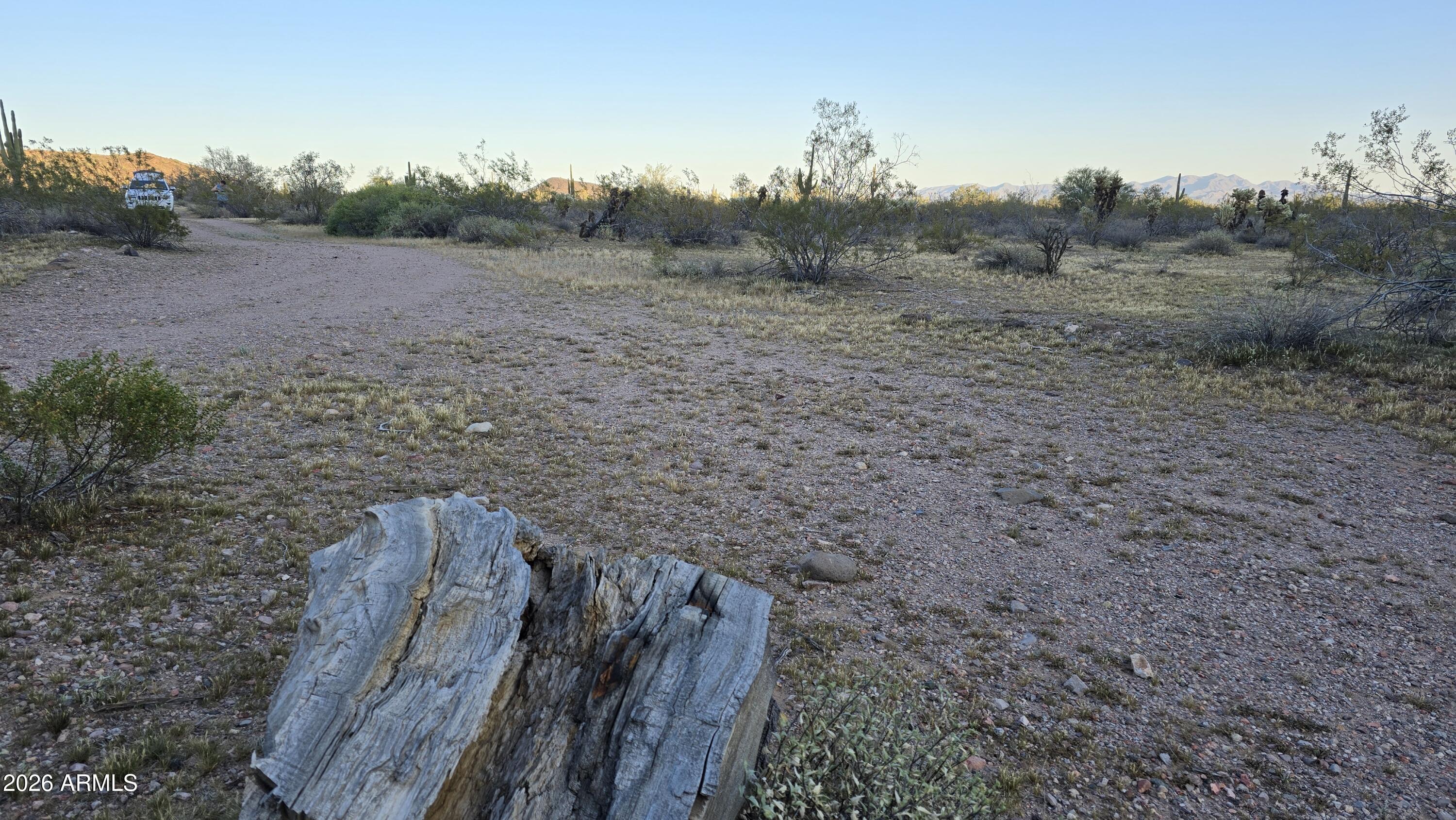 31275 West Cloud Road Wittmann, AZ 85361 - Photo 25 of 31 a view of a backyard with trees