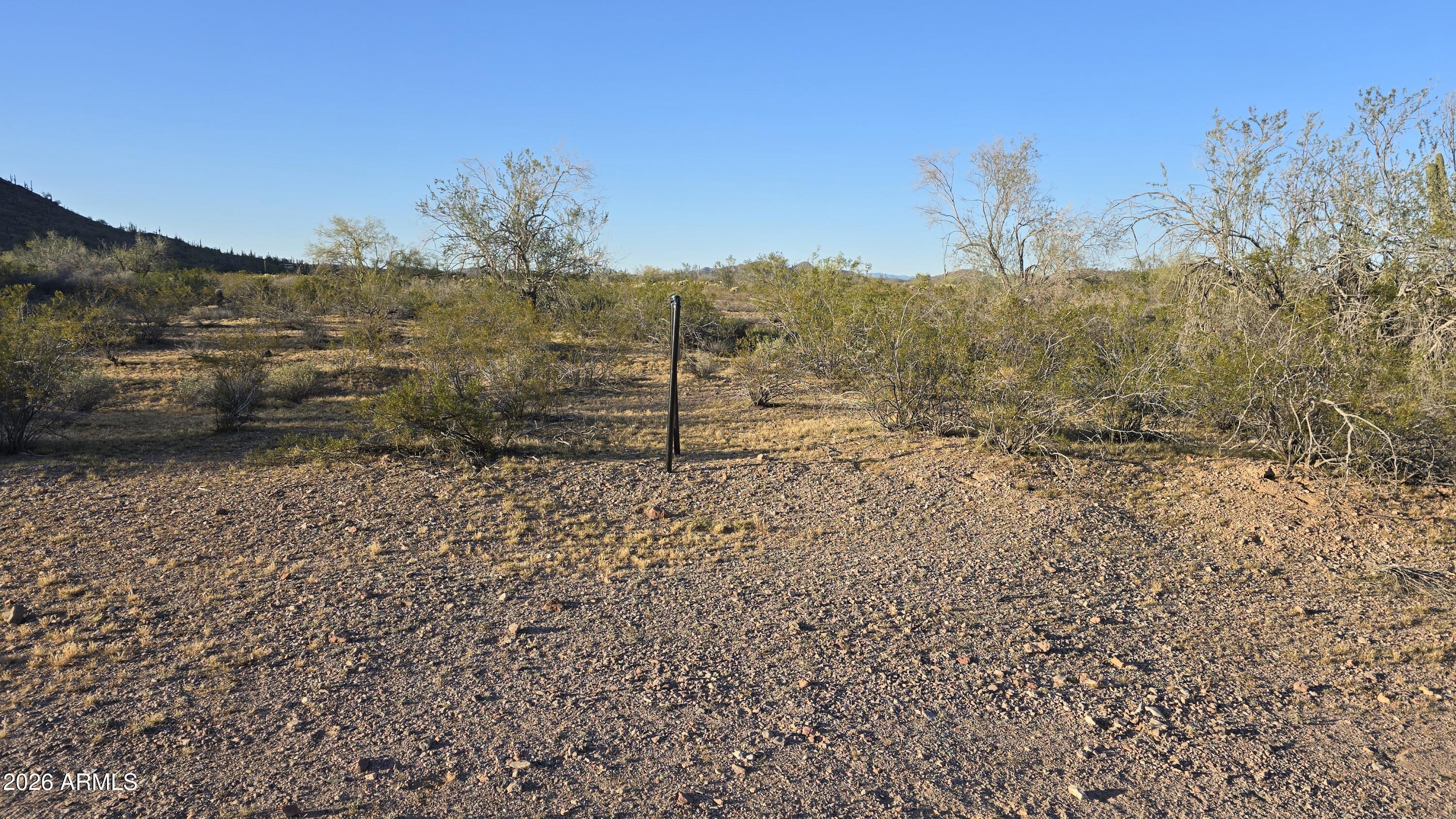 31275 West Cloud Road Wittmann, AZ 85361 - Photo 7 of 31 a view of a dry yard with trees in the background