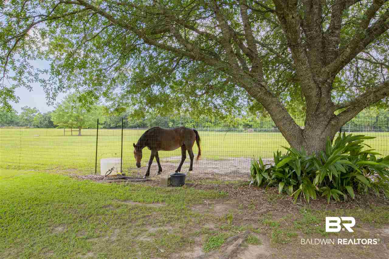 16749 Old Pierce Road Fairhope, AL 36532 - Photo 18 of 48