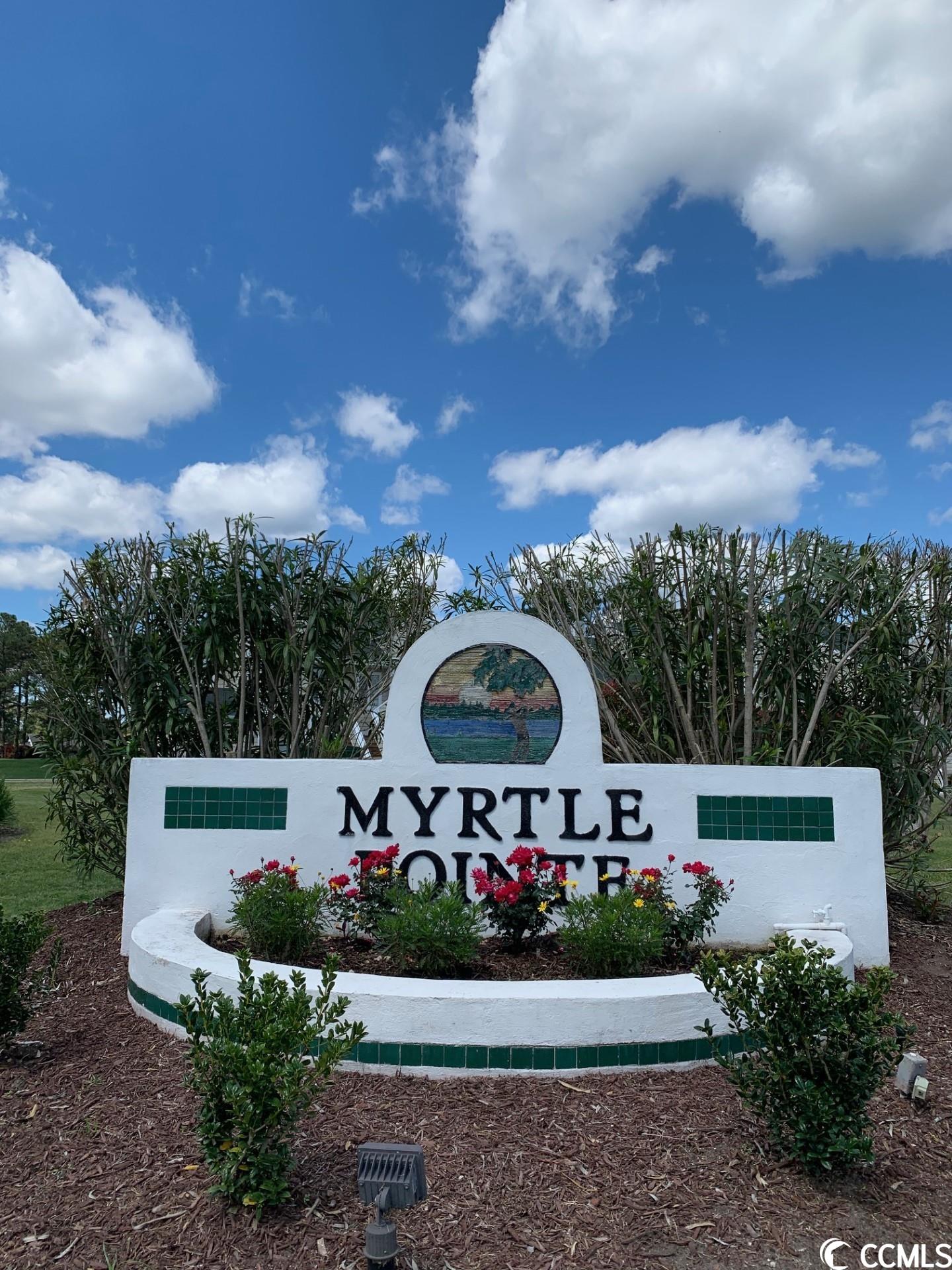 3871 Myrtle Pointe Drive Myrtle Beach, SC 29577 - Photo 25 of 25